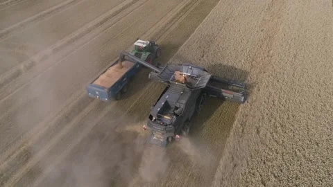 Wheat Harvest UK Stock Footage 139970748
