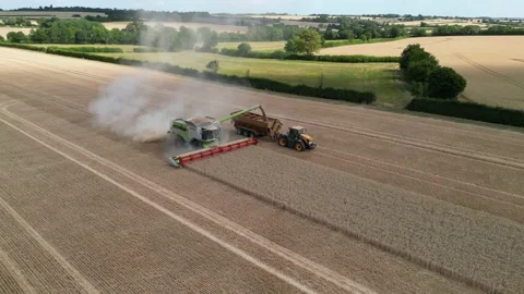 Wheat harvest UK Stock Footage 202320511