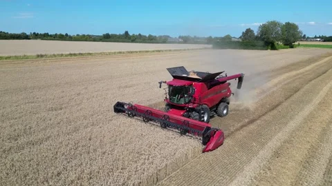 Wheat Harvest UK 스톡 동영상 260884772
