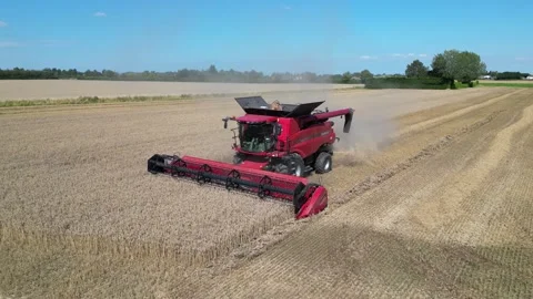 Wheat Harvest UK Stock Footage 260885108