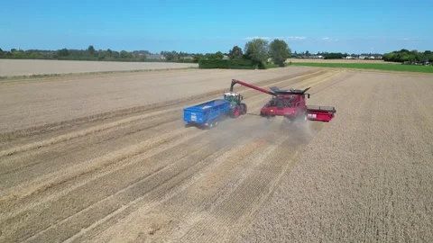 Wheat Harvest UK Stock Footage 260885173