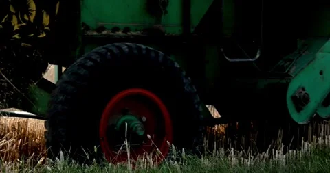 Wheat harvest using machine harvesting season farming fields Video stock 334658077