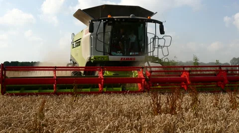 Wheat harvest.  Very close front shot of a harvester Stock Footage 40544210