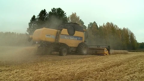 The wheat harvest view of the combine rear Stock Footage