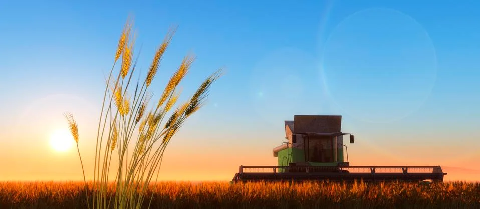 Wheat harvester Stock Illustration