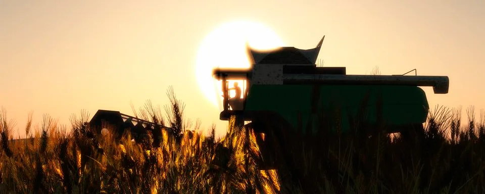 Wheat harvester Stock Illustration