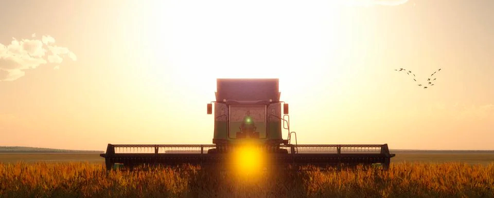 Wheat harvester Stock Illustration