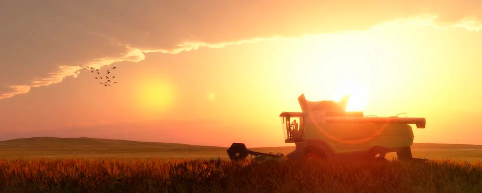 Wheat harvester Stock Illustration