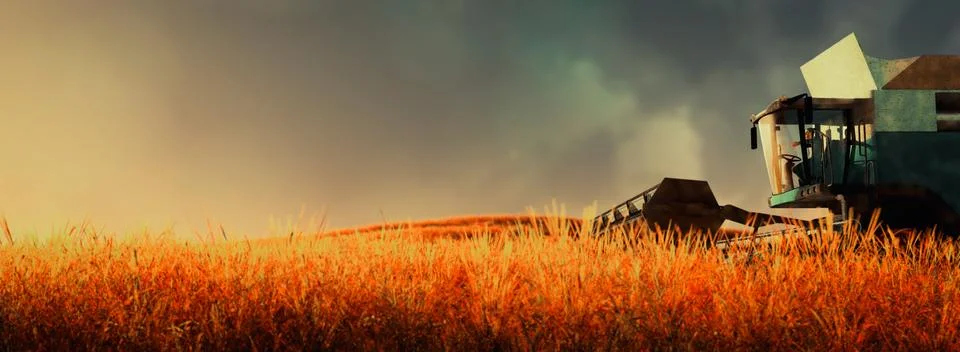 Wheat harvester Stock Illustration