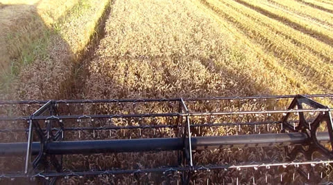 Wheat harvester slow motion Video stock 25652067