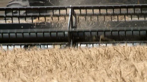 Wheat Harvesting-001 Video stock 32701822