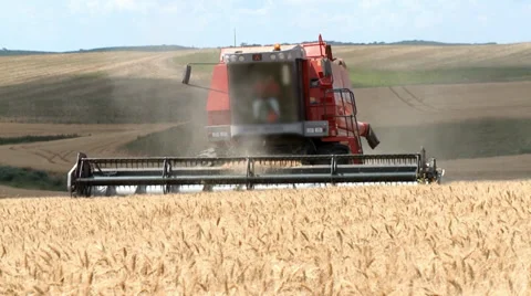 Wheat Harvesting-005 Video stock 32704405