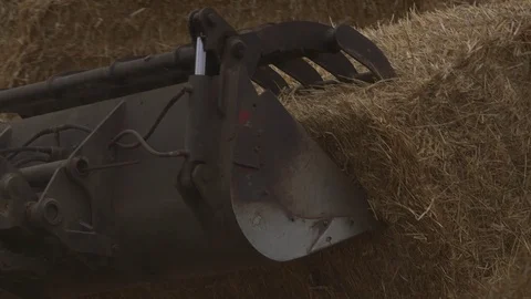 Wheat Harvesting in blocks Stock Footage 92587379