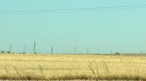 Wheat harvesting Stock Footage 3597260