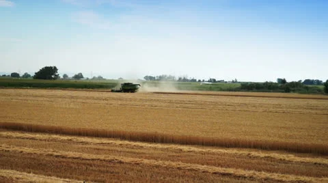 Wheat Harvesting Stock Footage 26588794