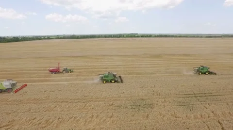 Wheat Harvesting Stock Footage 52515662