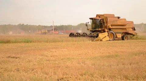 Wheat harvesting Stock Footage 68647250
