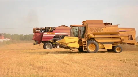 Wheat harvesting Stock Footage 68647279
