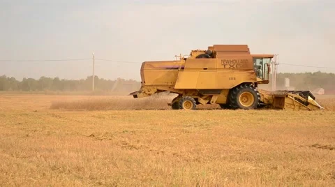 Wheat harvesting Stock Footage 69041221