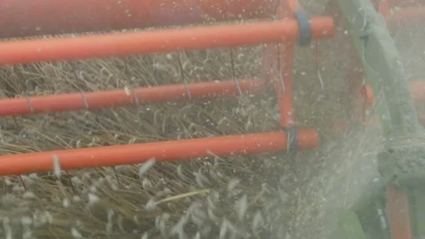 Wheat Harvesting Stock Footage 114840836
