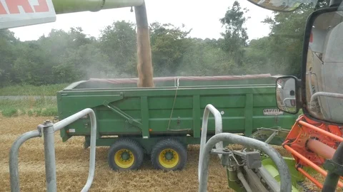 Wheat Harvesting Stock Footage 114841286