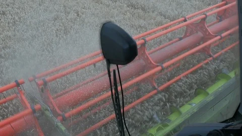 Wheat Harvesting Stock Footage 114845332