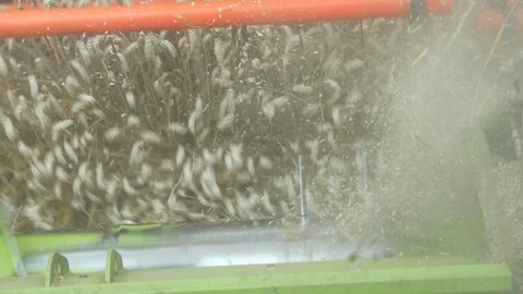 Wheat Harvesting Stock Footage 114886165