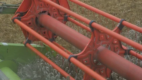 Wheat Harvesting Stock Footage 114886241
