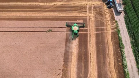 WHEAT HARVESTING I 스톡 동영상 279670964