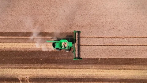 WHEAT HARVESTING II 스톡 동영상 279670857
