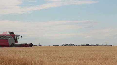 Wheat harvesting shearers Vidéo 49387390