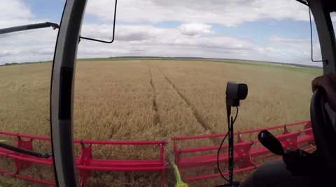Wheat harvesting shearers Video stock 62786036