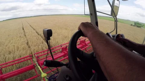 Wheat harvesting shearers Video stock 62786062