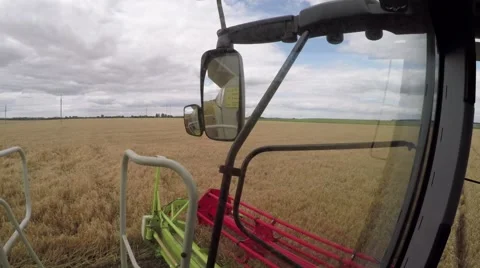 Wheat harvesting shearers Video stock 62786196