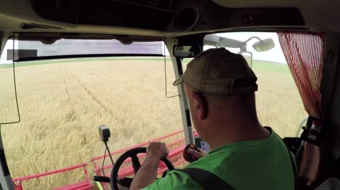 Wheat harvesting shearers Stock Footage 62786212