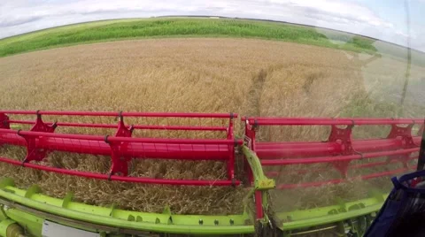 Wheat harvesting shearers Video stock 62786439