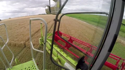 Wheat harvesting shearers Video stock 62786649