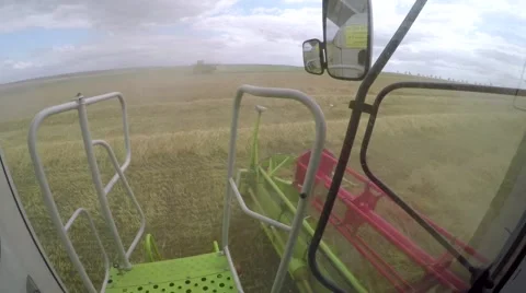 Wheat harvesting shearers Video stock 62786686