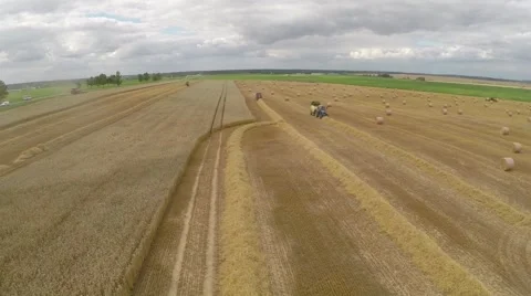 Wheat harvesting shearers Video stock 62787067