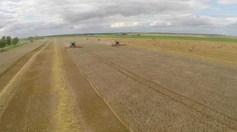 Wheat harvesting shearers Video stock 62787086