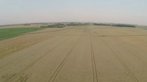Wheat harvesting shearers Video stock 62787141