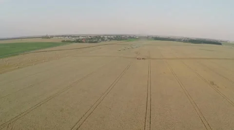 Wheat harvesting shearers Video stock 62787206