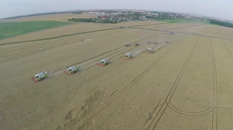 Wheat harvesting shearers Video stock 62787230