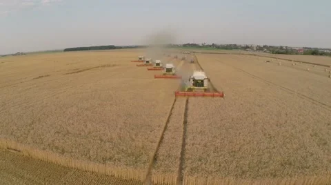 Wheat harvesting shearers Video stock 62787347