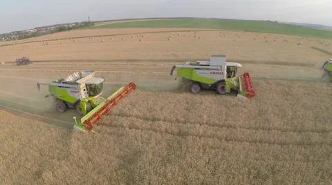Wheat harvesting shearers Video stock 62787378