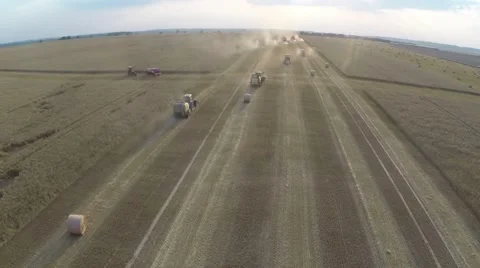 Wheat harvesting shearers Video stock 62787771