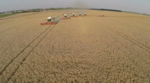 Wheat harvesting shearers Video stock 62787786
