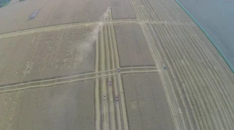Wheat harvesting shearers Video stock 62787826