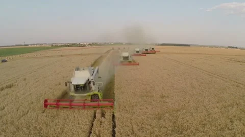 Wheat harvesting shearers Video stock 62787854