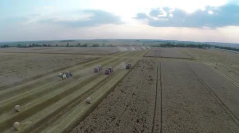 Wheat harvesting shearers Stock Footage 62787917
